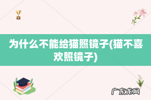 猫不喜欢照镜子 为什么不能给猫照镜子