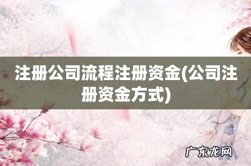 公司注册资金方式 注册公司流程注册资金