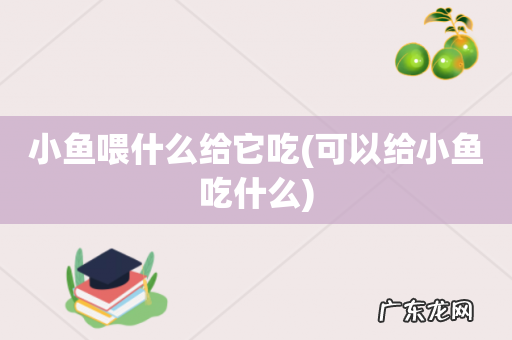 可以给小鱼吃什么 小鱼喂什么给它吃