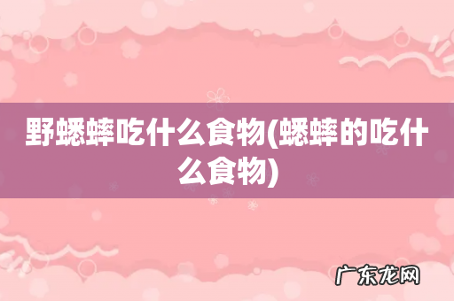 蟋蟀的吃什么食物 野蟋蟀吃什么食物