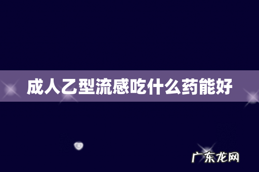 成人乙型流感吃什么药能好