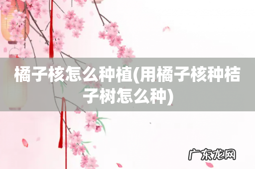 用橘子核种桔子树怎么种 橘子核怎么种植