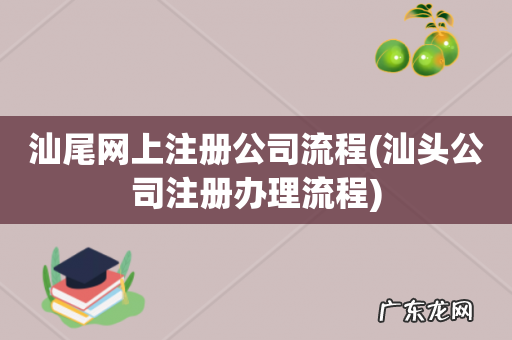 汕头公司注册办理流程 汕尾网上注册公司流程