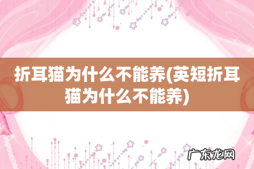 英短折耳猫为什么不能养 折耳猫为什么不能养