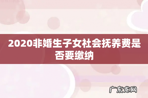 2020非婚生子女社会抚养费是否要缴纳