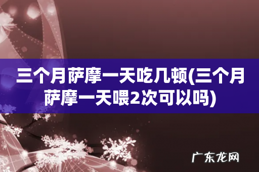 三个月萨摩一天喂2次可以吗 三个月萨摩一天吃几顿