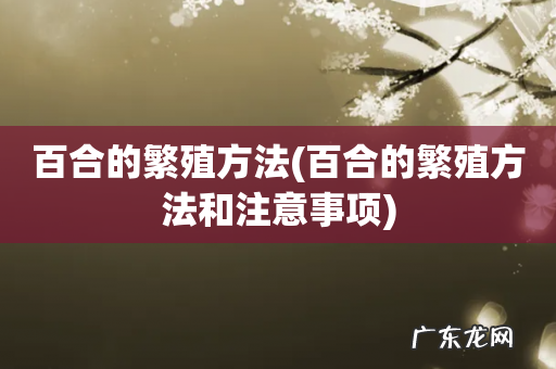百合的繁殖方法和注意事项 百合的繁殖方法