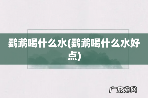 鹦鹉喝什么水好点 鹦鹉喝什么水