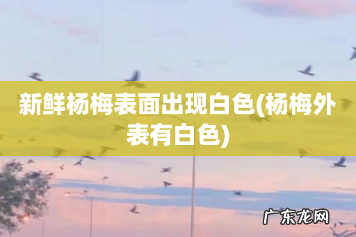 杨梅外表有白色 新鲜杨梅表面出现白色