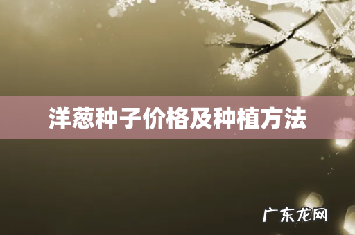 洋葱种子价格及种植方法