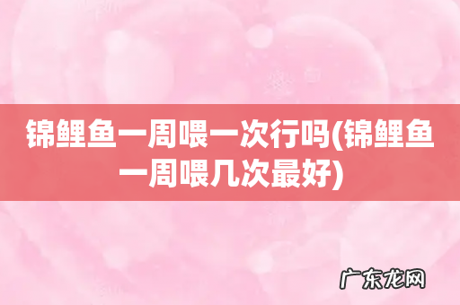 锦鲤鱼一周喂几次最好 锦鲤鱼一周喂一次行吗