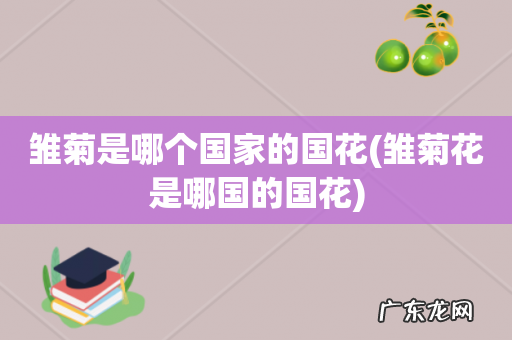 雏菊花是哪国的国花 雏菊是哪个国家的国花