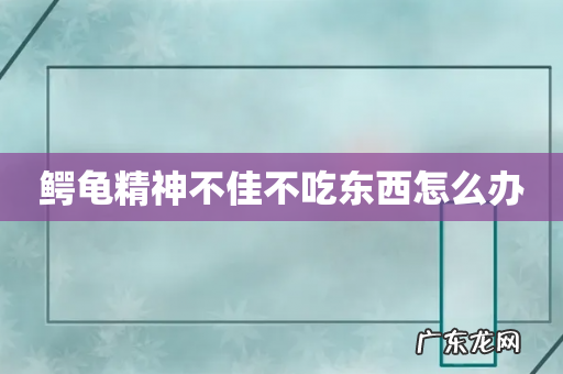 鳄龟精神不佳不吃东西怎么办