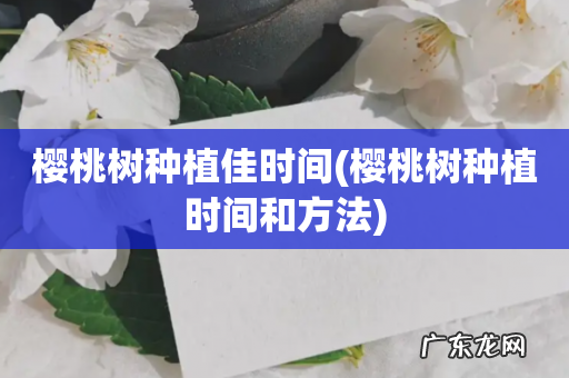樱桃树种植时间和方法 樱桃树种植佳时间