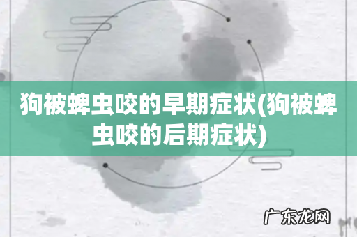 狗被蜱虫咬的后期症状 狗被蜱虫咬的早期症状