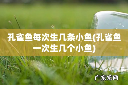 孔雀鱼一次生几个小鱼 孔雀鱼每次生几条小鱼