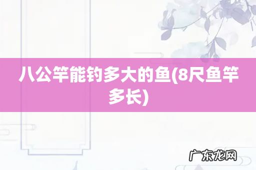 8尺鱼竿多长 八公竿能钓多大的鱼
