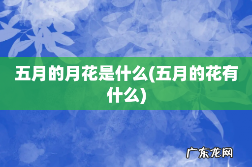 五月的花有什么 五月的月花是什么