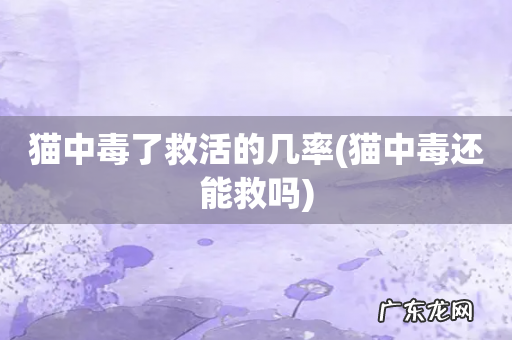 猫中毒还能救吗 猫中毒了救活的几率