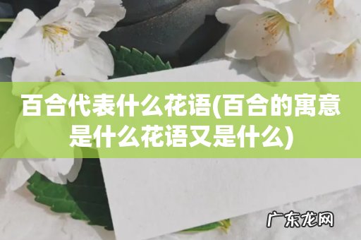 百合的寓意是什么花语又是什么 百合代表什么花语