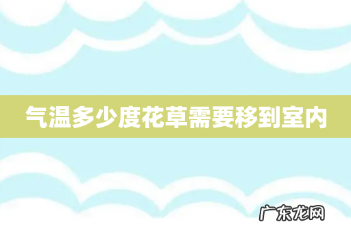 气温多少度花草需要移到室内