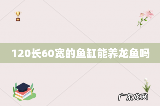 120长60宽的鱼缸能养龙鱼吗