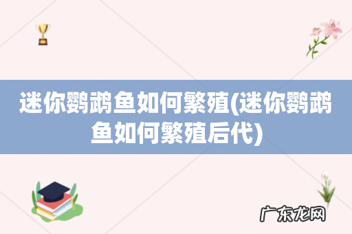 迷你鹦鹉鱼如何繁殖后代 迷你鹦鹉鱼如何繁殖