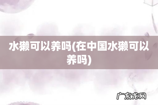 在中国水獭可以养吗 水獭可以养吗