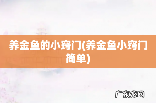 养金鱼小窍门简单 养金鱼的小窍门