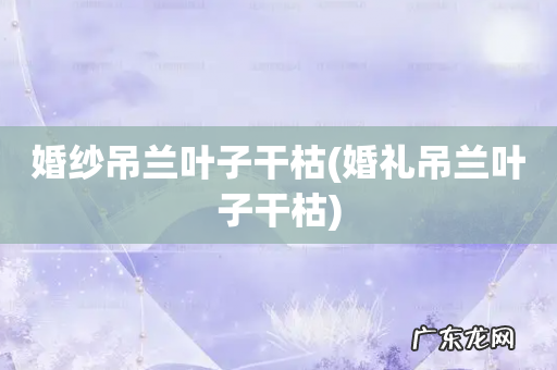 婚礼吊兰叶子干枯 婚纱吊兰叶子干枯