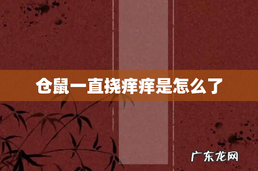 仓鼠一直挠痒痒是怎么了