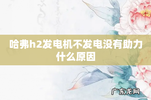 哈弗h2发电机不发电没有助力什么原因