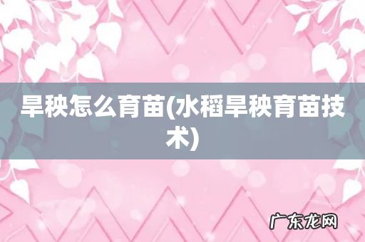 水稻旱秧育苗技术 旱秧怎么育苗