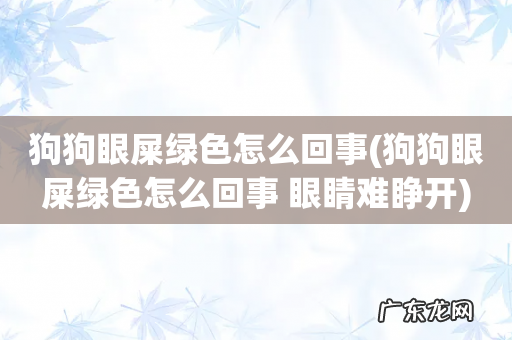 狗狗眼屎绿色怎么回事 眼睛难睁开 狗狗眼屎绿色怎么回事