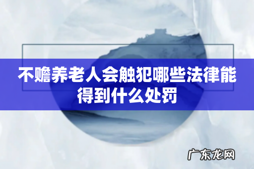 不赡养老人会触犯哪些法律能得到什么处罚