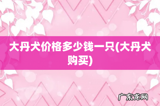 大丹犬购买 大丹犬价格多少钱一只