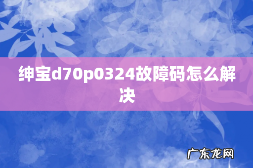 绅宝d70p0324故障码怎么解决