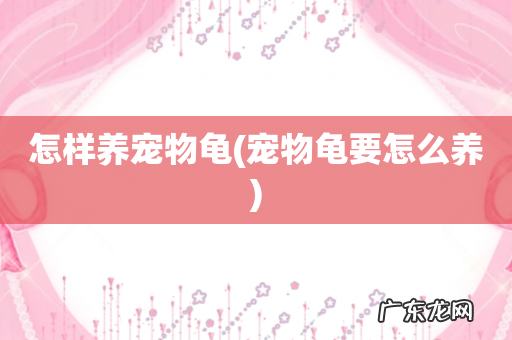 宠物龟要怎么养 怎样养宠物龟