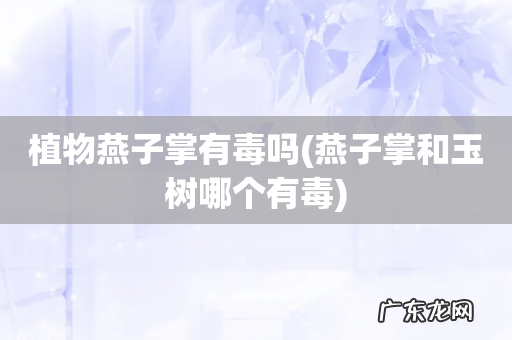 燕子掌和玉树哪个有毒 植物燕子掌有毒吗