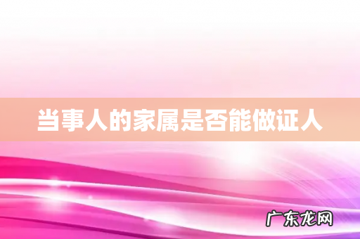当事人的家属是否能做证人