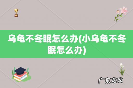 小乌龟不冬眠怎么办 乌龟不冬眠怎么办