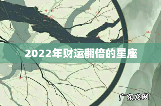 2022年财运翻倍的星座