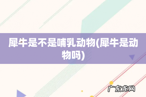 犀牛是动物吗 犀牛是不是哺乳动物