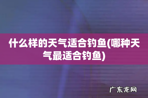 哪种天气最适合钓鱼 什么样的天气适合钓鱼