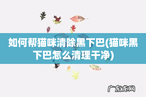 猫咪黑下巴怎么清理干净 如何帮猫咪清除黑下巴