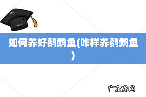 咋样养鹦鹉鱼 如何养好鹦鹉鱼