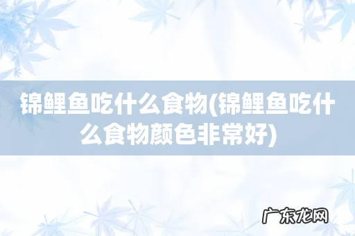 锦鲤鱼吃什么食物颜色非常好 锦鲤鱼吃什么食物