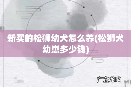 松狮犬幼崽多少钱 新买的松狮幼犬怎么养