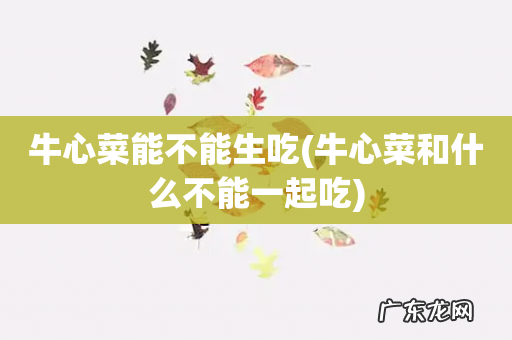 牛心菜和什么不能一起吃 牛心菜能不能生吃