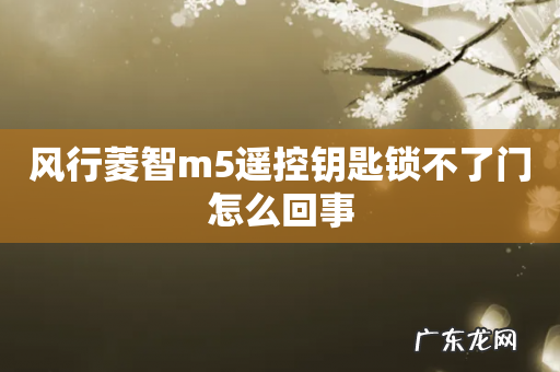 风行菱智m5遥控钥匙锁不了门怎么回事
